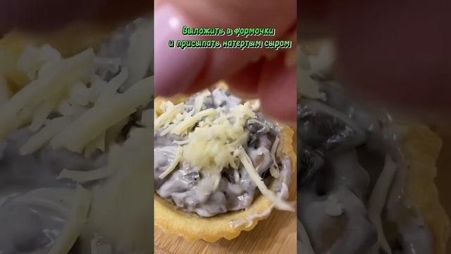 Лесные грибы: грибные хроники