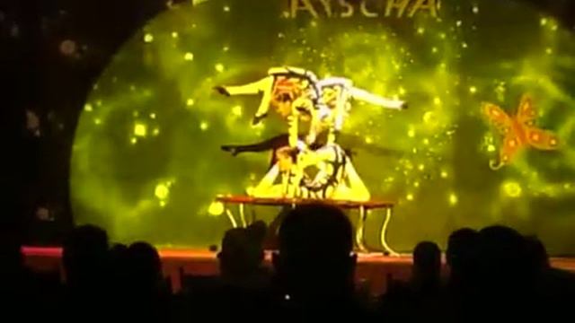 Acrobatie Show in Papillon Ayscha смотреть онлайн