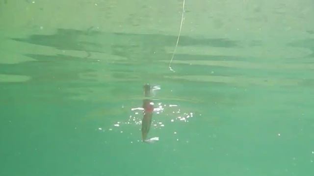 PIKE POP смотреть онлайн