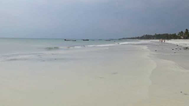 Samaki lodge and Palumbo reef beach -Zanzibar смотреть онлайн