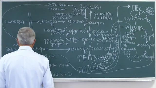13:40 Интеграция обменов углеводов липидов белков смотреть онлайн