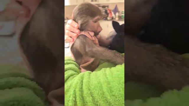 Утро доброе! Хорошего дня от Никушки🥰 смотреть онлайн