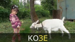 Логопедические песни Железнова - Коза (ЗЫ, ЗЕ, ЗУ, ЗА)