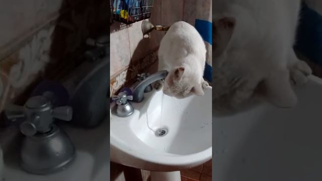 18 de julio de 2018 смотреть онлайн