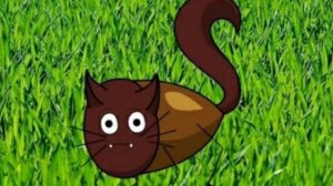 Коты-воители В ПРЯМОМ СМЫСЛЕ