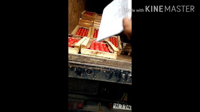 Фуд Сити помидоры из Азербайджана смотреть онлайн