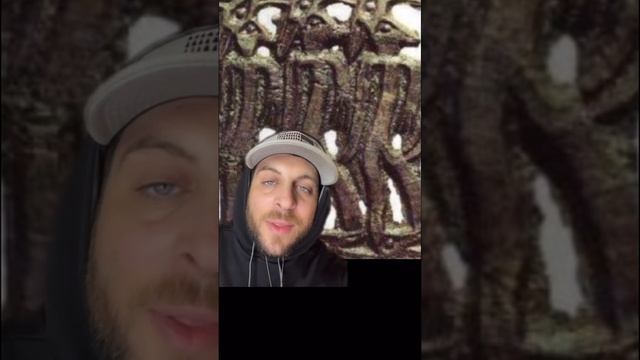 Russias Alien Book of Secrets Part3 #youtube #youtuber @NightGod333 смотреть онлайн