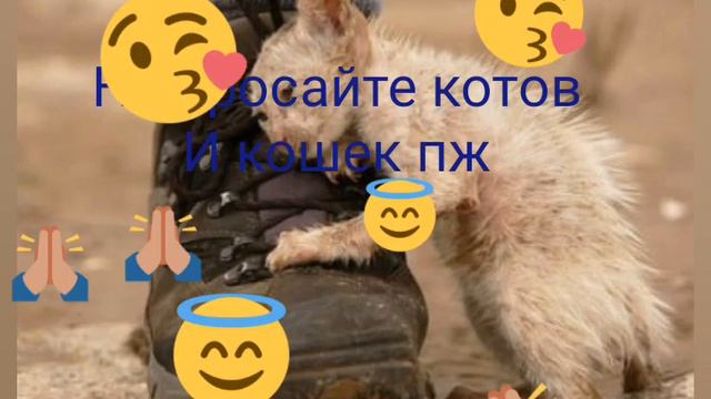 САМЫЕ ЛУЧШИЕ НАШИ *ЧЕТВЕРОНОГИЕ* ДРУЗЬЯ!!!! смотреть онлайн