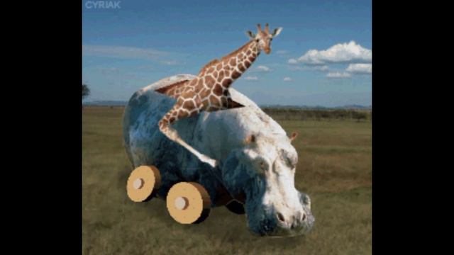 Cyriak GIF Collection 1 смотреть онлайн