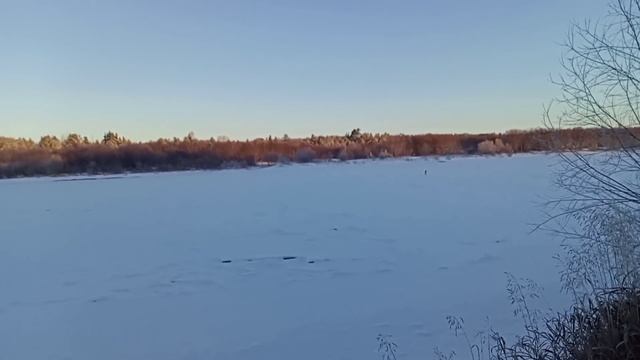 Землянка встречает Новый ГОД. Готовим щуку в ПЕЧИ. Снежные наряды. Ёлка наряжена. смотреть онлайн