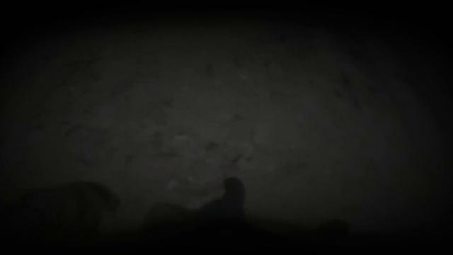 Modern Warfare - Full Game (No Commentary) смотреть онлайн