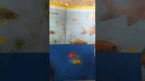 Лепка «Морское дно»