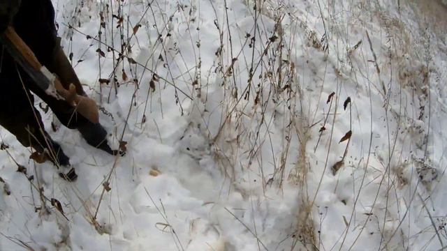 Охота на зайца.Добыли двух косых. смотреть онлайн