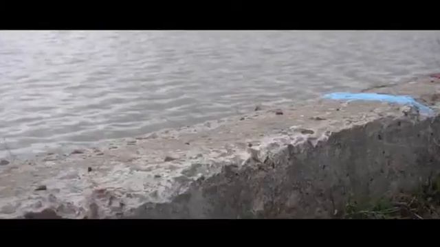 Команда ЭОС oooeos.ru смотреть онлайн