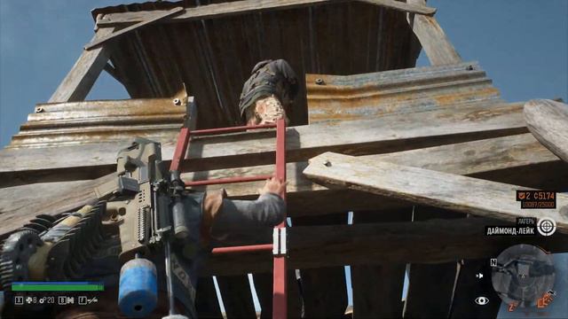 Д.П. СЮЖЕТ ДАЙМОНД-ЛЕЙК НАЙТИ ГОМЕС/Days Gone #59 PC