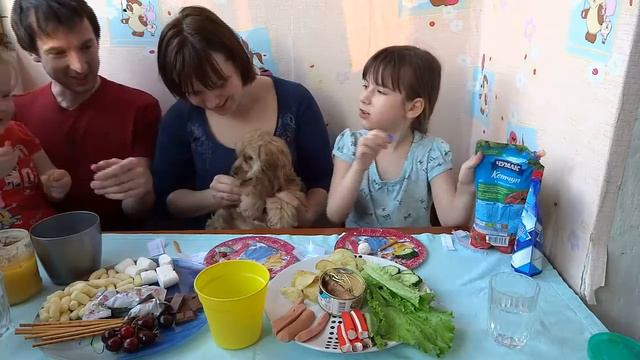 ЧЕЛЛЕНДЖ СЛАДОСТИ И ГАДОСТИ .))) ВЫЗОВ ! СОБАКА ЕСТЬ ЗЕФИРКУ ... смотреть онлайн