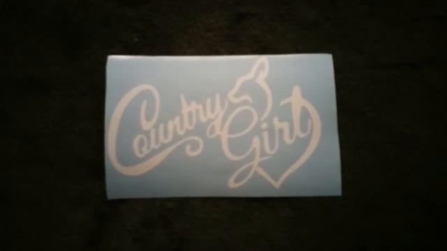 West Palm Beach Fast Vinyl Signs, decal, letting a смотреть онлайн