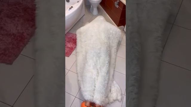 Давайте знакомиться, пиши своё имя в комментариях?? смотреть онлайн
