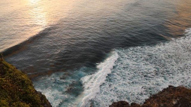 OCEAN ? CANON Mark IV + 24-105 mm смотреть онлайн