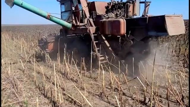 Уборка Подсолнечника Римисол 2017 смотреть онлайн