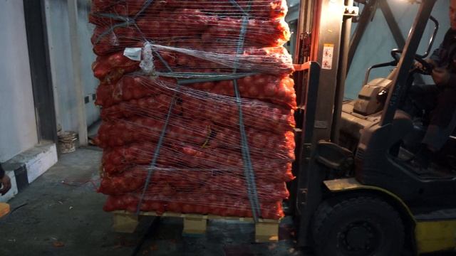 Египетский лук 18.06.2022 смотреть онлайн