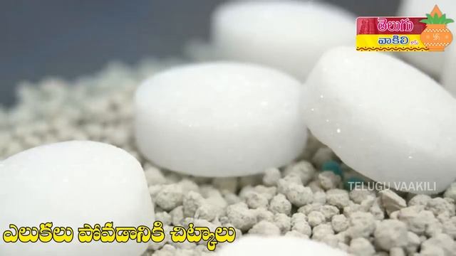 Elukalu nivarana | Home Remedies to Get Rid of Rats | elukalu rakunda | top Kitchen tips in telugu смотреть онлайн