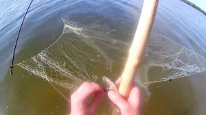 ЛОВЛЯ РЫБЫ НА ПАУК