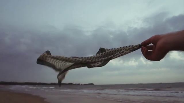 Береги себя, это важно! | Автор стихотворения: Ира Долинная смотреть онлайн