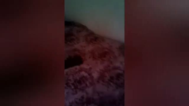 Приехали на турбазу маленький прикольный домик смотреть онлайн