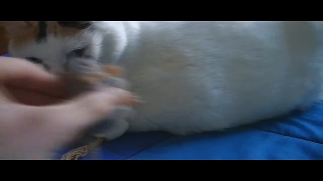 JVC Everio GZ-E205 - Test смотреть онлайн