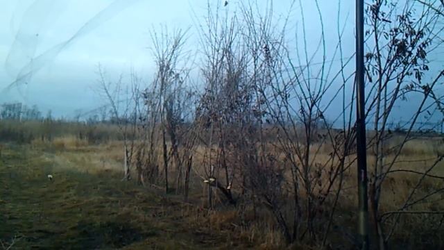 Ловля птиц на сеть паутинку#4 смотреть онлайн