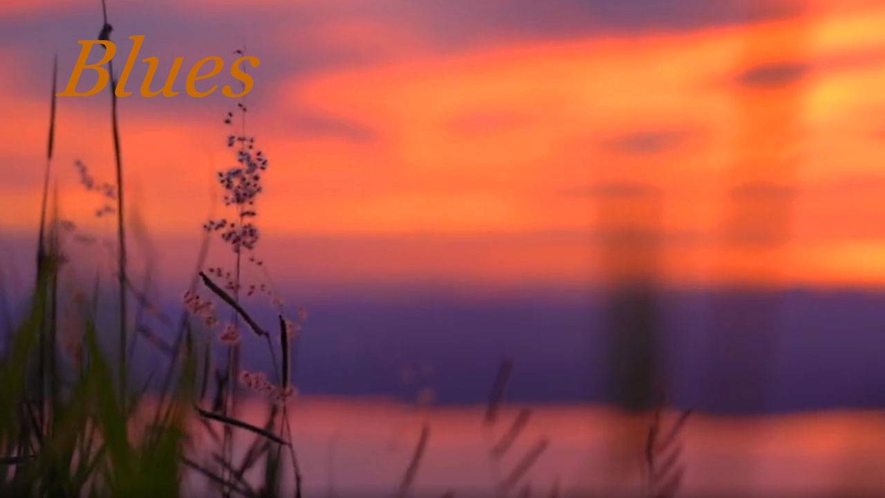 Вечерний блюз 029. & Evening blues. смотреть онлайн