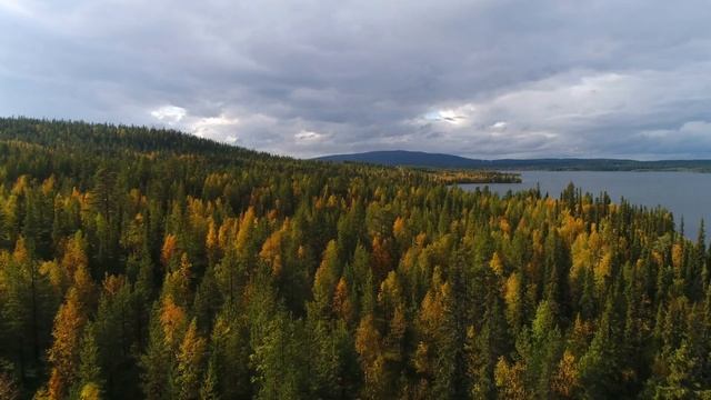 Autumn Relaxation Aerial Scenery With Calm Music