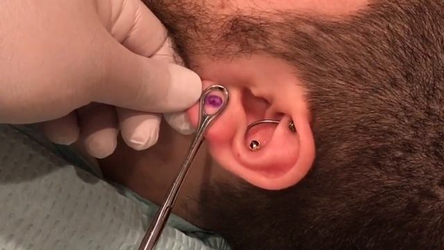 4ga Initial Earlobe Piercings