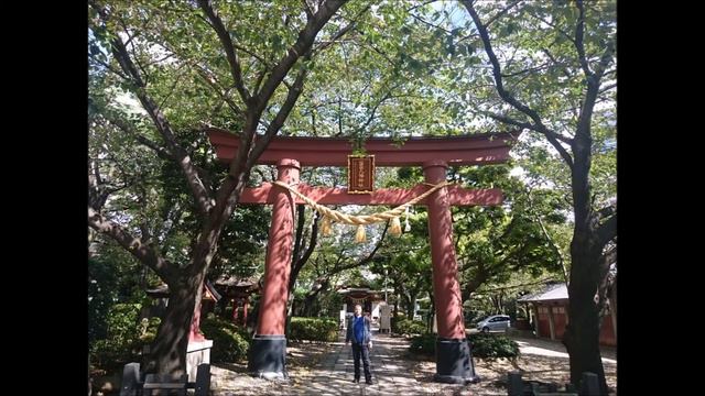 Woman in Love, original cover in Japanese, trip to Tokyo and Miyazaki ウーマン・イン・ラブ/ バーブラ・ストライサンド/日本語で смотреть онлайн