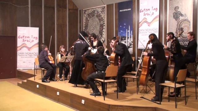 Mirror Sound in Zajecar,Serbia смотреть онлайн