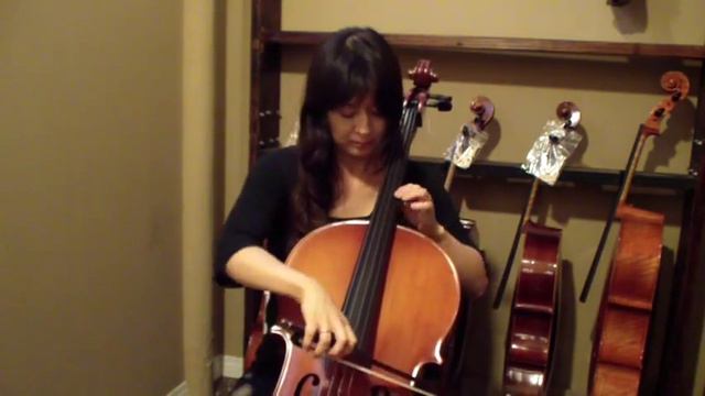 SC100 Cello смотреть онлайн