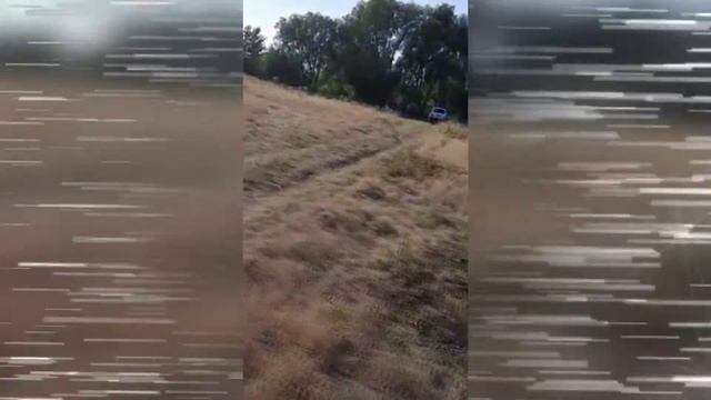 Рыбалка с Русиком на дикаре в Адамовке #shorts #рыбалка #fishing #карп #сазан #trending #tiktok смотреть онлайн