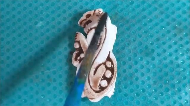 Как сделать подвеску? Резьба по кости подвеска   Дикая кошка