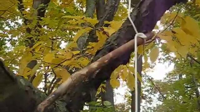 How to Rig a Counter Weight Trap (Fish Trap) смотреть онлайн