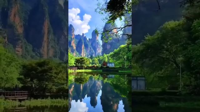 X2Download.com-5 августа 2024 г. смотреть онлайн