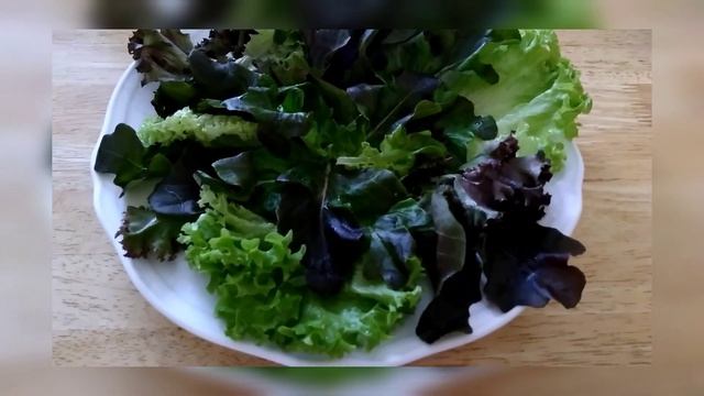 Фильмы о Природе и Экологии