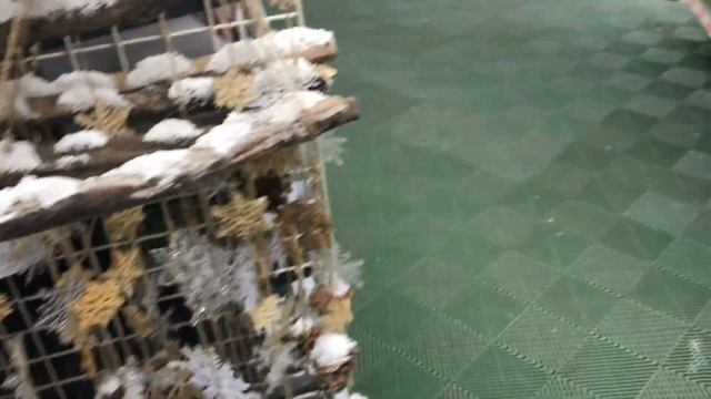 OBI New Year ? новогодние украшения ?#Оби #новыйгод