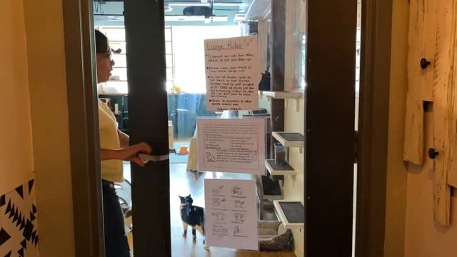 Digital Journalism 3rd Story: Java Cats Cafe смотреть онлайн