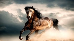 Khaled al Haqan - Khud Dimana | خالد الحقان خد دمانا