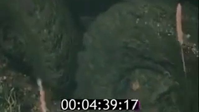 Автомобили УРАЛ 1989 смотреть онлайн