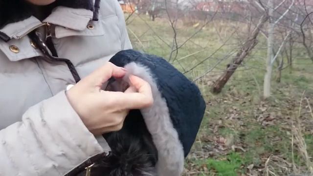 Шапка, Келли Орех смотреть онлайн