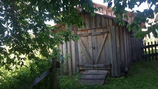 Жизнь в Деревне. Снимаю во дворе. Клещ укусил Тулана?