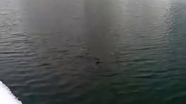 Рыбалка на Уводи смотреть онлайн