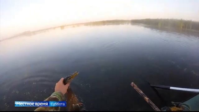 В Алтайском крае открыли сезон осенней охоты на водоплавающую дичь смотреть онлайн